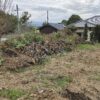 「剪定した樹木の粉砕作業をしました」記事内の画像