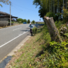 「竹藪のお手入れ、がんばりました！」記事内の画像