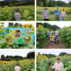 「ひまわりを見てきました！🌻[･･･]」記事内の画像